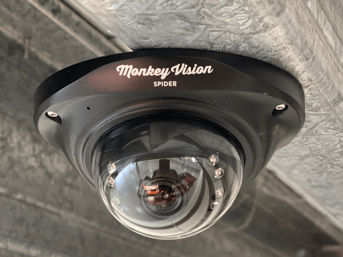 monkey vision white spider security camera
