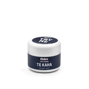 Dulux 100ml Te Kaha Sample Pot