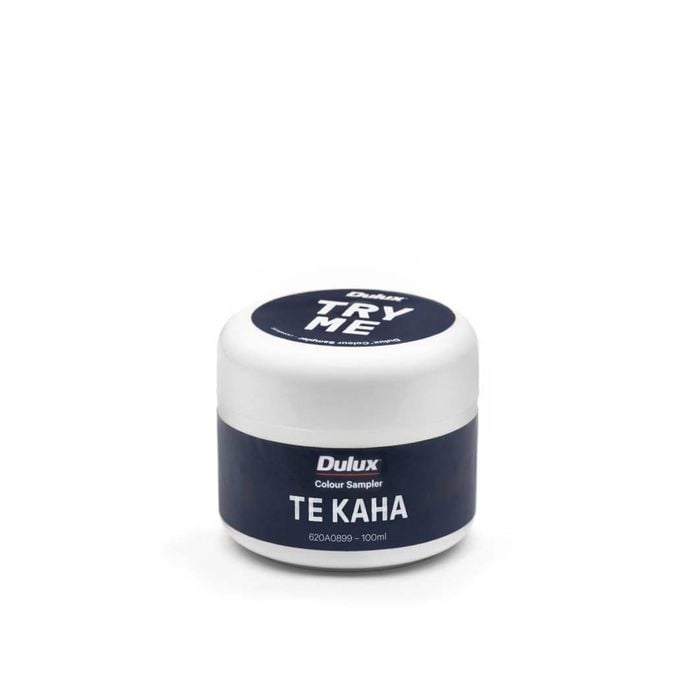 Dulux 100ml Te Kaha Sample Pot