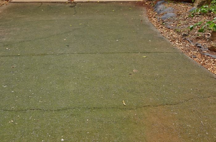 A driveway that is covered in green algae