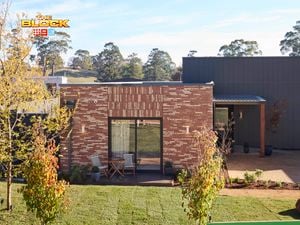 A front area of a house with trees, paving, shrubs and a grass area in it.