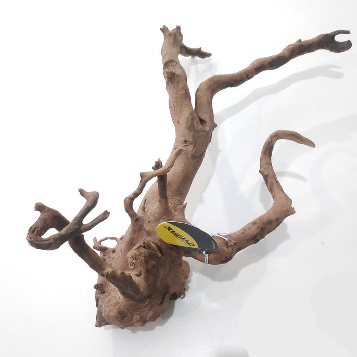 Dymax Tweety Wood - Small (dm714)