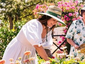 Katie of Little Lyndoch Flower Farm and her mother wear sunhats while gardening outdoors among pink and orange flowers.