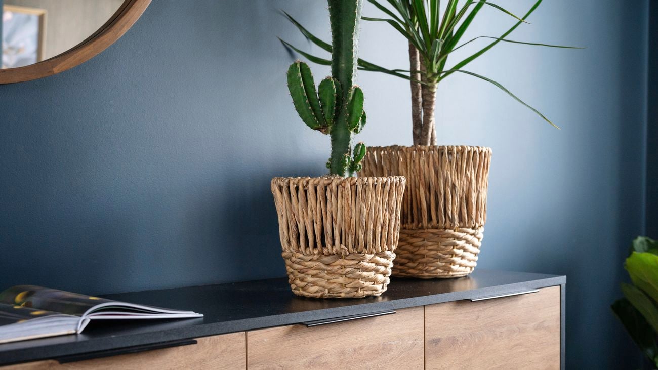 Add bohemian charm with decorative plant baskets 
