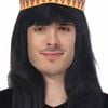 s INDIAN WIG Native American Fancy Dress Party Costume Hair Headdress