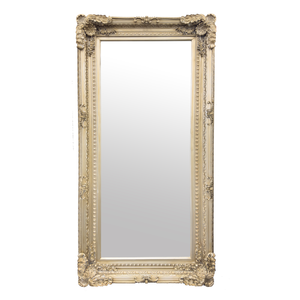 Elegant Collections Antique Champagne Ornate Mirror