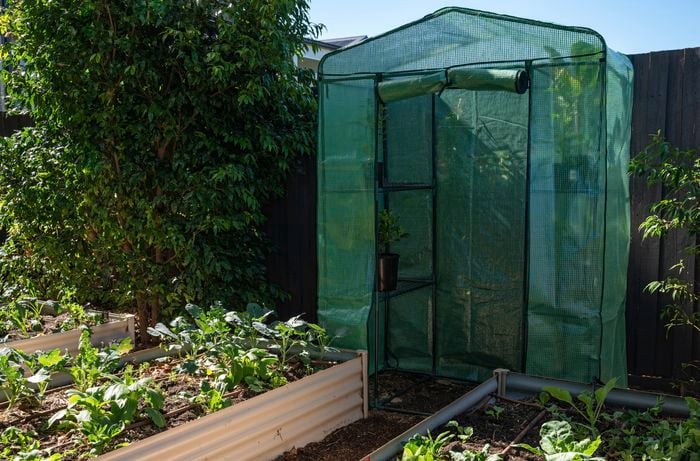 Close up of a greenhouse.