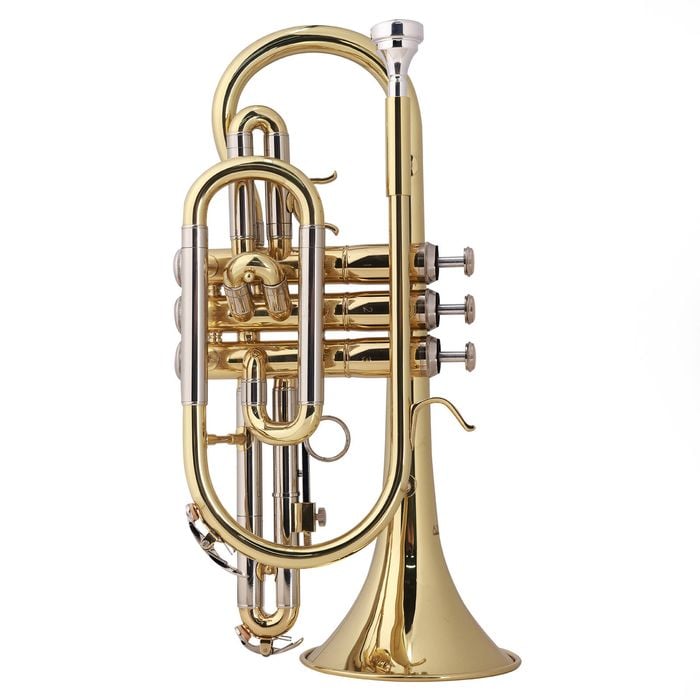 Axiom Student Cornet with Premium Case