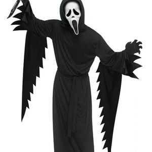 Ghostface Scream Teen Boys Halloween Costume - Teen