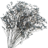Blooms Of Joy 70cm Blue Limonium Flowers