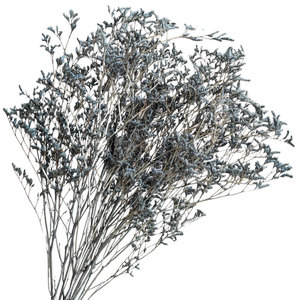 Blooms Of Joy 70cm Blue Limonium Flowers