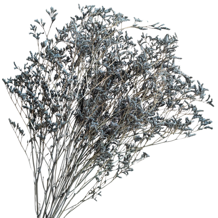 Blooms Of Joy 70cm Blue Limonium Flowers