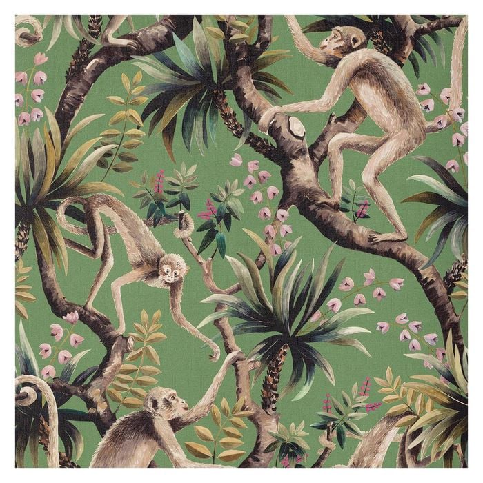 Wallpaper Trader Monkey Business Green