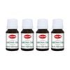 4PK HEM Home Fragrance Scented Smelling Oil Bottle 10ml Mystic Night Queen