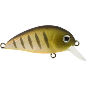 Atomic Hardz Crank Mid 38mm Hard Body Fishing Lure Prawn Tiger