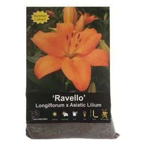 Yarra Valley Bulbs Lilium Hybrid Ravello - 4 Pack