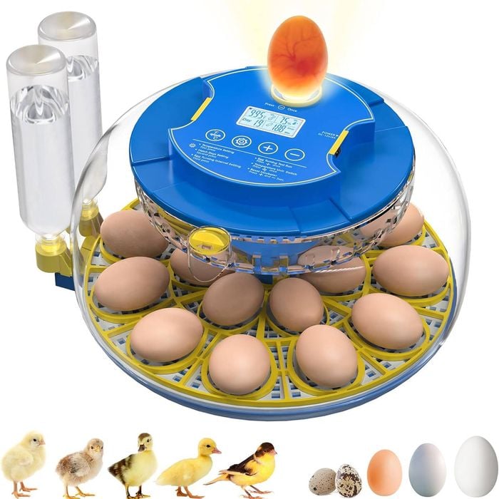 Advwin 18 Egg Incubator Automatic Egg Turner Two egg plates Egg Candler