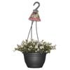 200mm Assorted Patio Blooms Hanging Basket