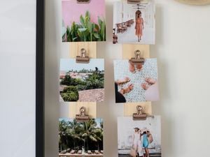 Picture frame and a plant on a desk
