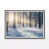 Snowy Forest with Trees  Print 100% Australian Made 120x90cm  (Poster)