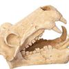 Aqua One Hippo Skull Ornament 11x18.5x13cm (37486)