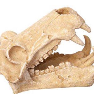 Aqua One Hippo Skull Ornament 11x18.5x13cm (37486)