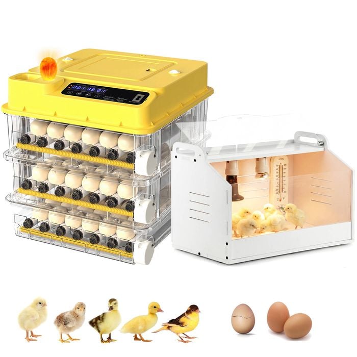 Advwin 108 Egg Incubator + Chicken Brooder Box