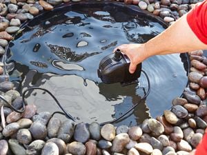 A pond pump being lowered into a pond