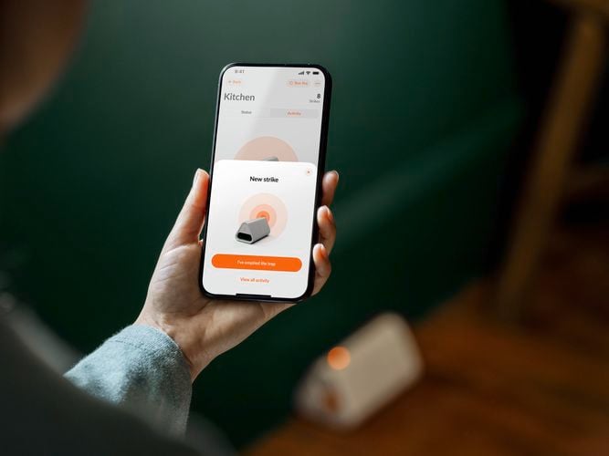 A smart mousetrap being connected to the Goodnature app with a smart mousetrap visible in the background through the soft bokeh