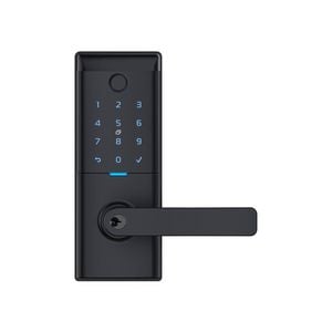 Schlage Ascent Black Smart Entrance Lever