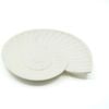 Rayell Harp Shell Trinket Tray Cream Home Decor/Storage 23x20x2cm