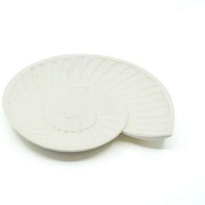 Rayell Harp Shell Trinket Tray Cream Home Decor/Storage 23x20x2cm