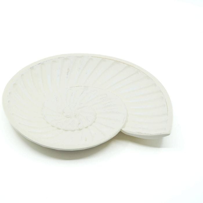 Rayell Harp Shell Trinket Tray Cream Home Decor/Storage 23x20x2cm