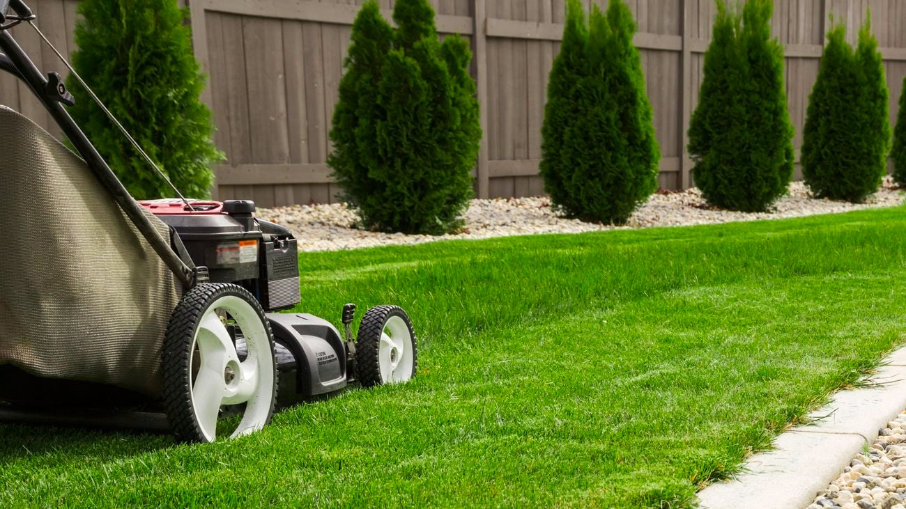 Lawn mower being pushed over grass that meets a stone garden bed