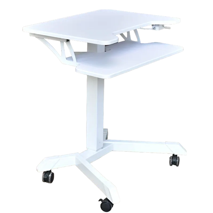 Lifebay Height Adjustable Mobile Standing Desk with Keyboard Tray