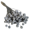 Blooms Of Joy 45cm Grey Botao Flowers