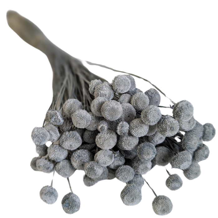 Blooms Of Joy 45cm Grey Botao Flowers