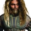 Aquaman Wig and Beard Set for Adults – DC Superhero Halloween Costume Hair, ADULT