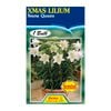 Fiesta Flower Bulbs Snow Queen Lilium Bulb