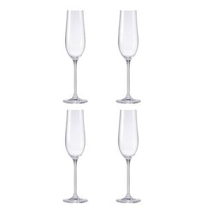 Alex Liddy Vina Set Of 4 Champagne Glasses 235ml