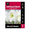 Bloomin Bulbs Hippeastrum Mount Blanc - 1 Pack