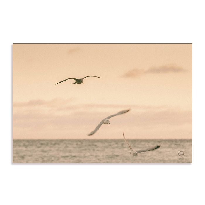 Artey | Sunset Flocks - Stretched Canvas - Stretched Canvas - 110 x 165cm