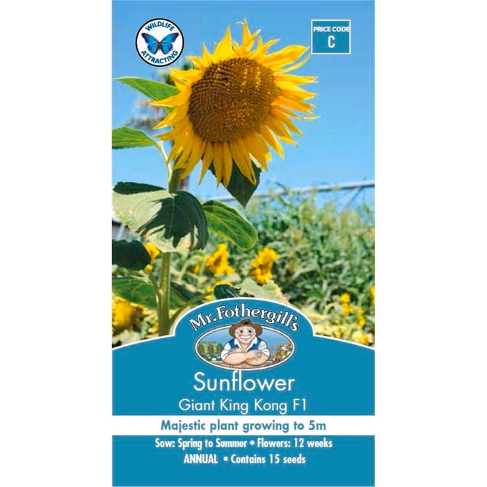 Mr Fothergill's Seed Sunflower King Kong F1