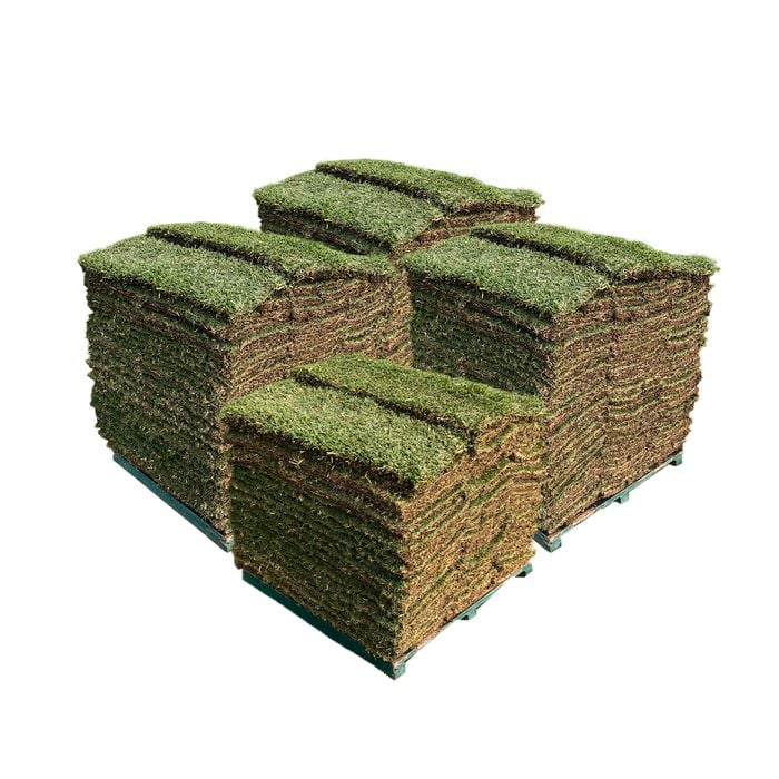 Sir Walter DNA Certified Buffalo 190m² Soft Leaf Buffalo Turf - Pallet