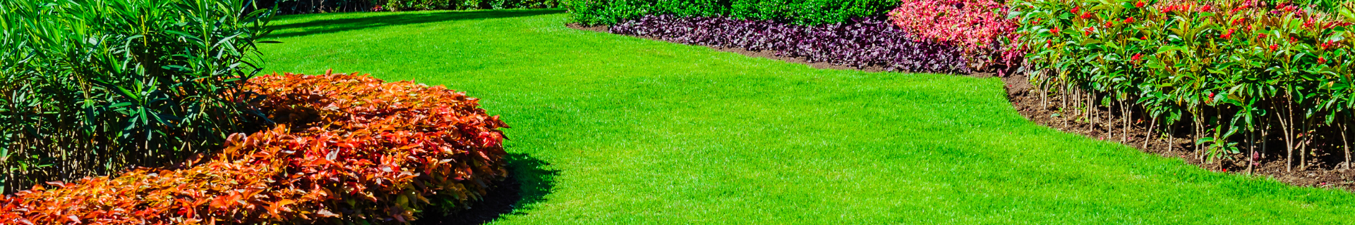 Garden with green lawn, shrubs and flowers.