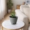 Moda 15cm Self Watering Oslo Pot Grey