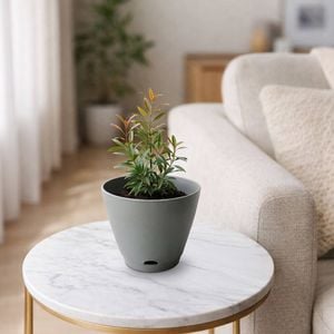 Moda 15cm Self Watering Oslo Pot Grey