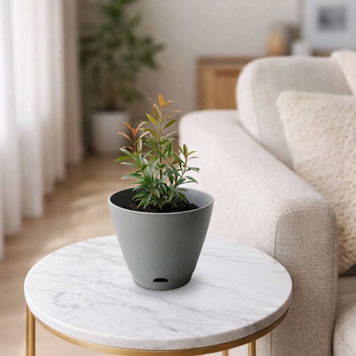 Moda 15cm Self Watering Oslo Pot Grey
