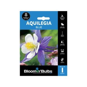 Bloomin' Bulbs Aquilegia Blue - 1 Pack