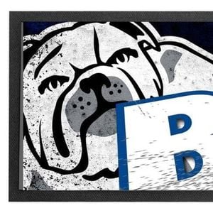 NRL Logo Bar Runner - Canterbury Bulldogs - Bar Mat - 25cm x 90cm
